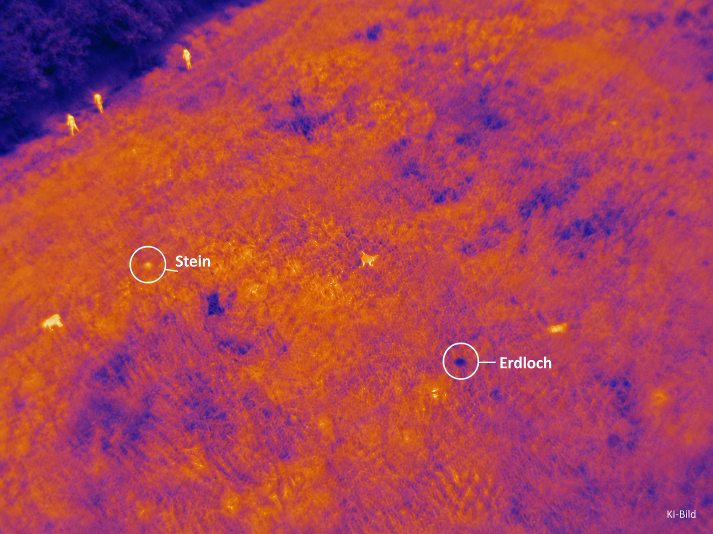 Symbolbild für mögliche Fehlinterpretationen in der Thermografie